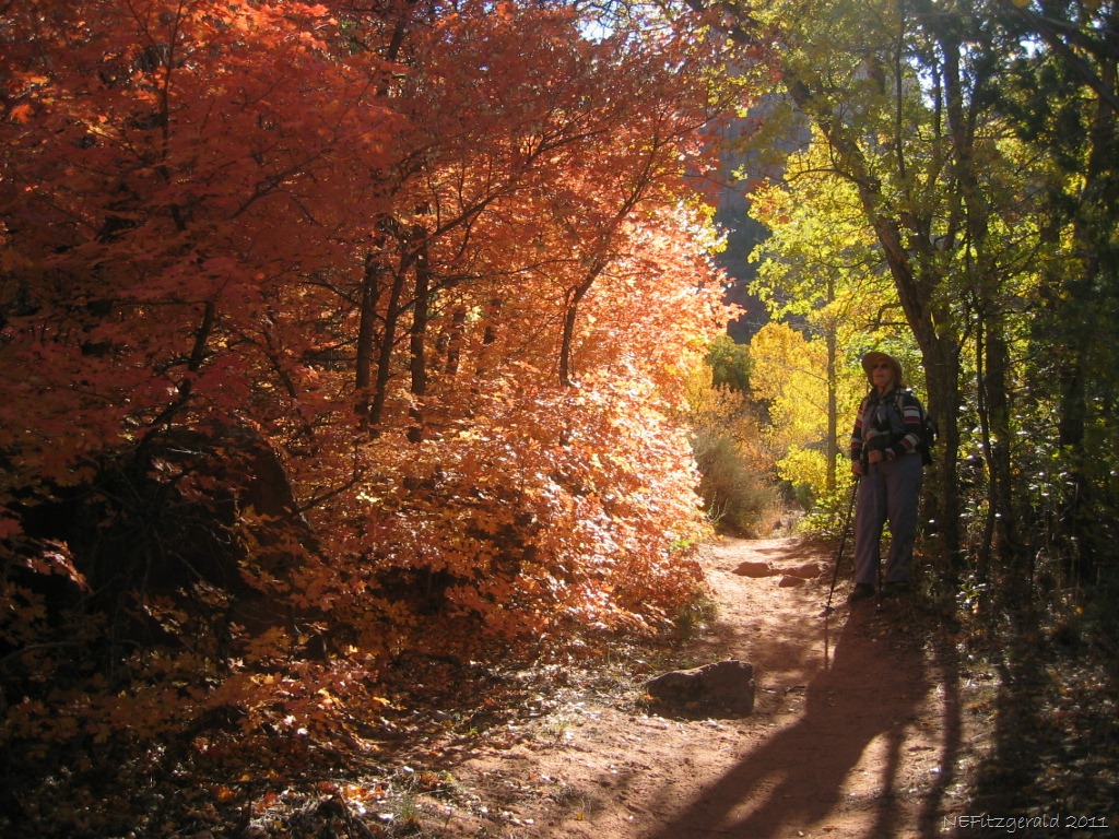 [Autumn_ ZionNP[23].jpg]