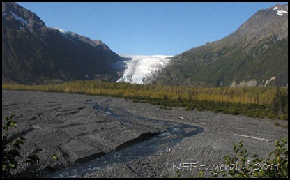 IMG_4120 ExitGlacier KenaiFjordsNP IMG_4120 ExitGlacier KenaiFjordsNP