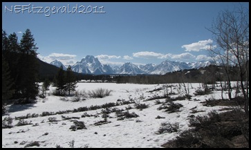 (a)Grand TetonNP (a)Grand TetonNP