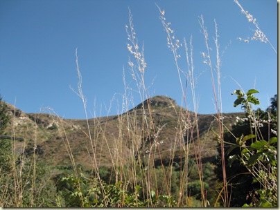 mountain behind the house