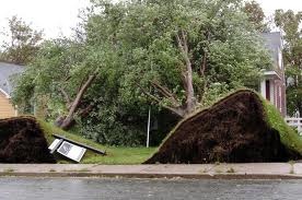 [Igor Damage[3].jpg]