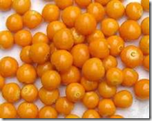 Orange Gooseberries