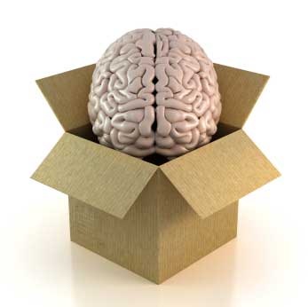 [Brain-in-Box[4].jpg]