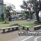 molo_plaza6.jpg