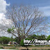 cabatuan_plaza_02.jpg