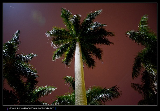 © 2011 Mike EcKO_Bravo Photography - Jakarta DSC_0380