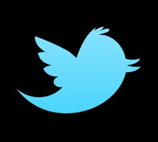the-new-twitter-logo