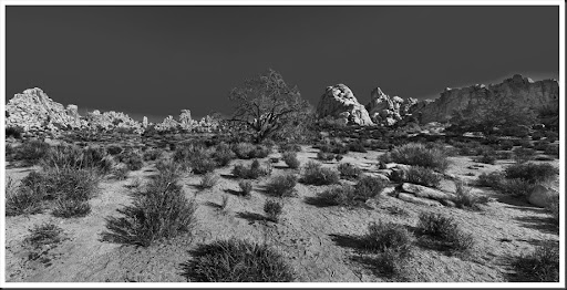 Panorama Joshua Tree National Park