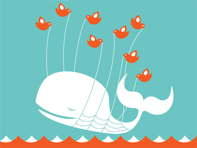how-to-access-twitter-in-castle