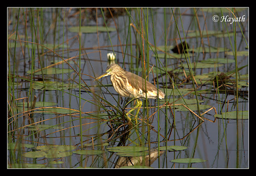 IMAGE: http://lh6.ggpht.com/_J3wCjsRO6Tg/TUjK7qIzaSI/AAAAAAAAOjk/XMFtKp5aZc4/IMG_8689.jpg