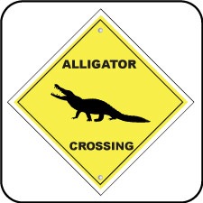 [alligator[2].jpg]