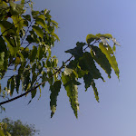 (00)20032011601.jpg (00)20032011601.jpg