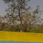 20032011576.jpg 20032011576.jpg