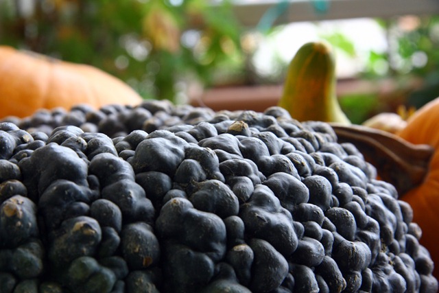 [fall in love -17[3].jpg]