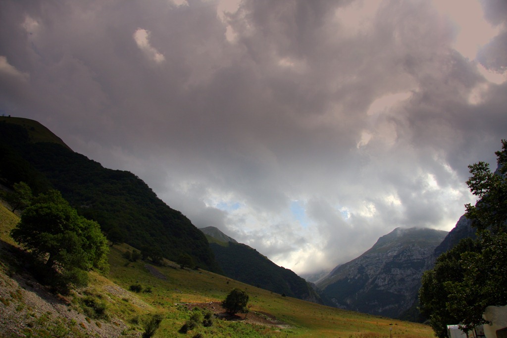 [Spilla collana-1[3].jpg]