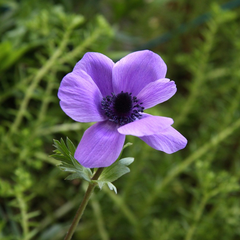 [CAMERA case-1[5].jpg]