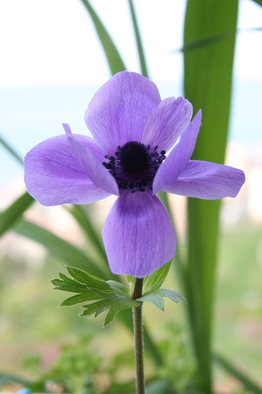 [CAMERA case-5[4].jpg]