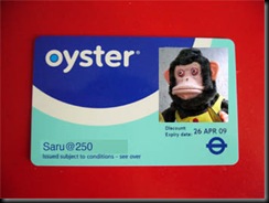 monkey-oyster card