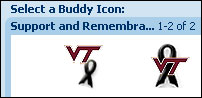 Virginia Tech Support Ribbon Icons