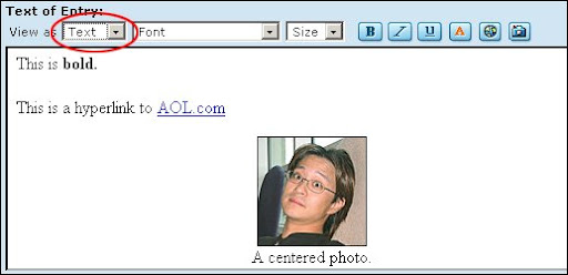 AOL Journals Text view