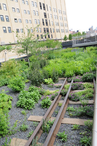 Америка 2010. Часть 4. Парки