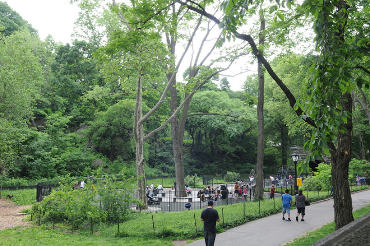 Америка 2010. Часть 4. Парки