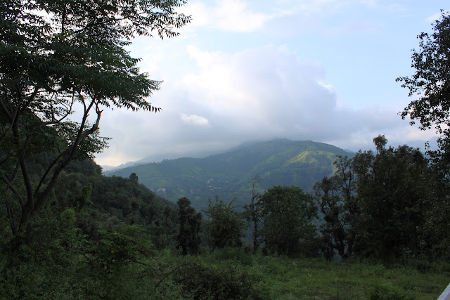 Towards Shimla After Solan