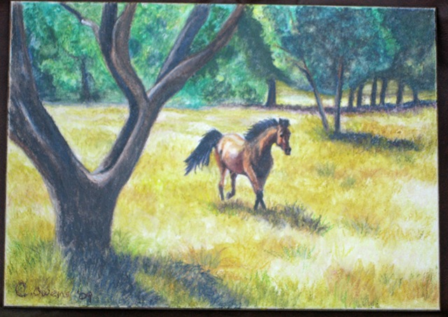 [Running horse in grassy field natural light[2].jpg]