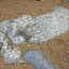 DSCN5709.JPG