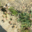 DSCN5730.JPG