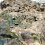 DSCN5738.JPG