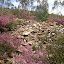 P1010569.JPG