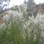 DSCN5665.JPG