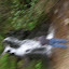 DSCN5680.JPG