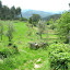 DSCN5646.JPG