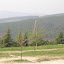 DSCN5223.JPG