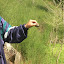 DSCN5239.JPG
