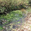 DSCN5241.JPG