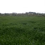 P4180128.JPG