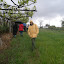 P4180146.JPG