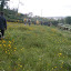 P4180158.JPG