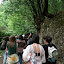 P7110136.JPG