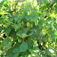 DSCN5495.JPG