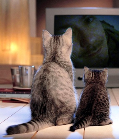 PhotoFunia-1df2228