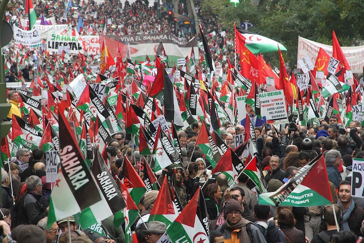 Manifestación 13 de noviembre Sáhara