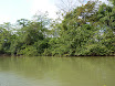 P1050735.JPG