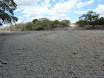 P1050855.JPG