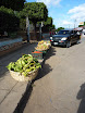 P1050848.JPG