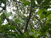 P1050980.JPG