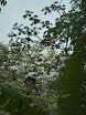 P1050983.JPG